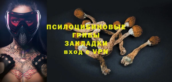 дурь Богданович