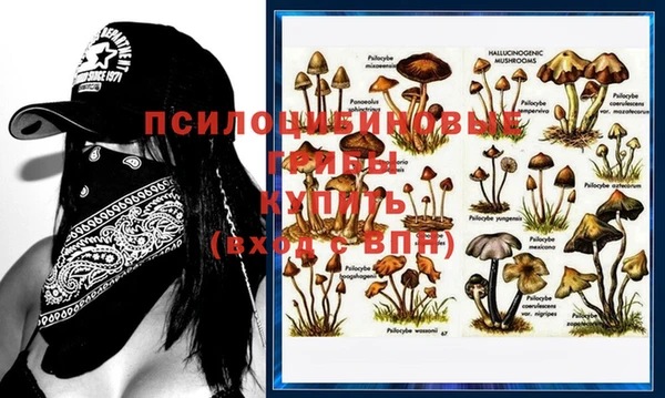 дурь Богданович