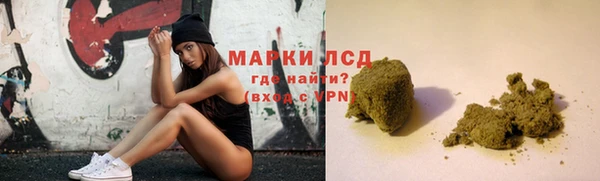 a pvp Бородино