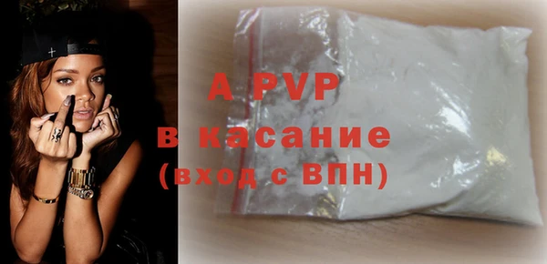 a pvp Бородино
