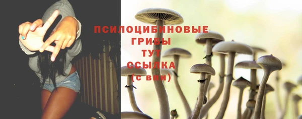 крисы Богородск