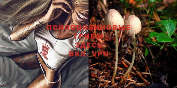 дурь Богданович
