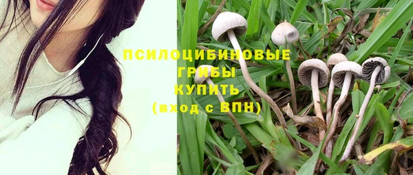 дурь Богданович