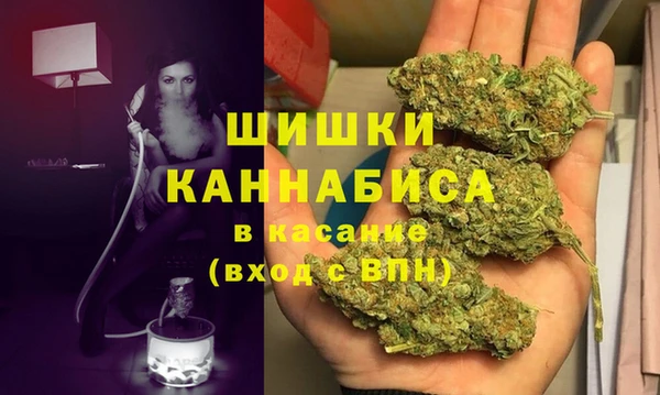 крисы Богородск