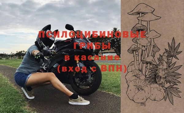 a pvp Бородино