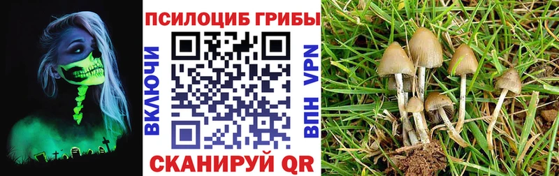 Псилоцибиновые грибы Magic Shrooms  сколько стоит  Высоцк 